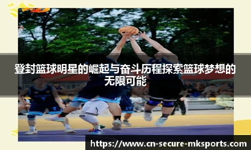 MK体育平台